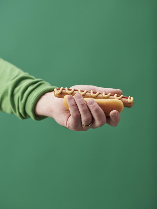 KORVMOJ plantdog hotdog_€0,75
