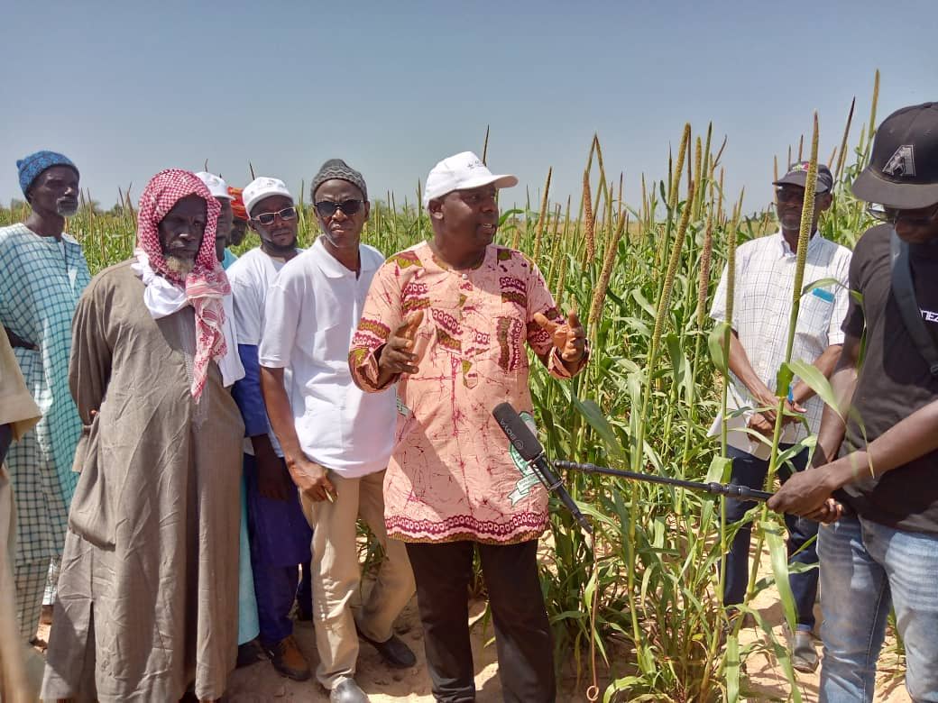 Dr Akinseye Folorunso, Scientist, ICRISAT working at CERAAS within the framework of the AICCRA project in Senegal speaks to media and participants.