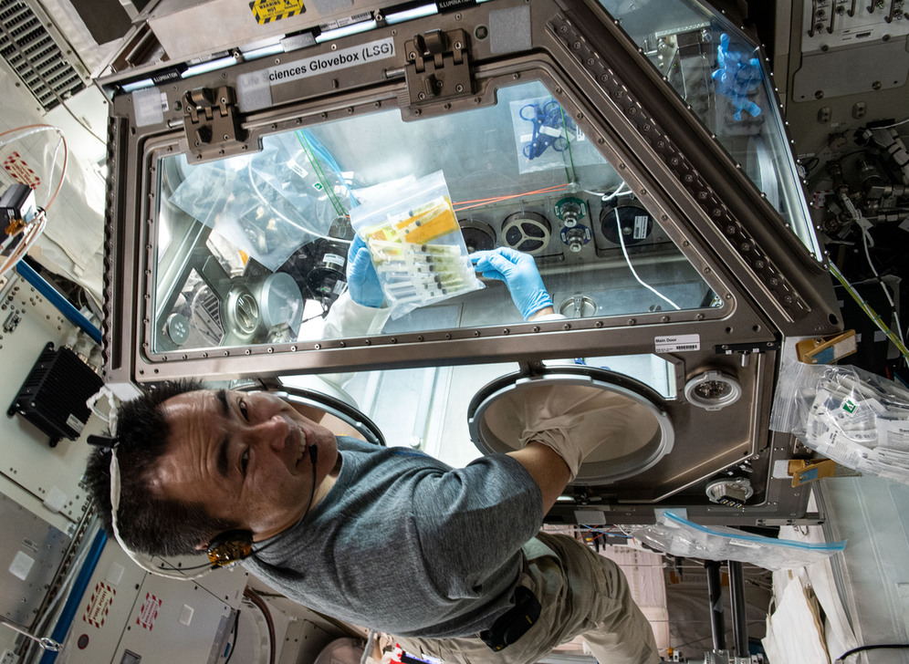 Expedition 65 Commander Akihiko Hoshide of the Japan Aerospace Exploration Agency (JAXA) studies tardigrades, also known as water bears, inside the Kibo laboratory module's Life Sciences Glovebox. The study seeks to identify genes that adapt best to the harsh environment of microgravity. July 13, 2021. AKG9036436 © akg-images / Science Source Expedition 65 Commander Akihiko Hoshide of the Japan Aerospace Exploration Agency (JAXA) studies tardigrades, also known as water bears, inside the Kibo laboratory module's Life Sciences Glovebox. The study seeks to identify genes that adapt best to the harsh environment of microgravity. July 13, 2021. AKG9036436 © akg-images / Science Source