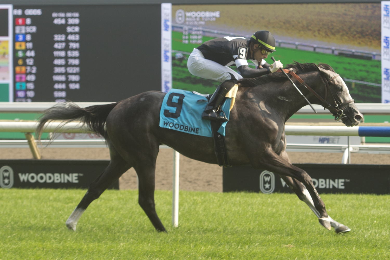 Time to Dazzle and jockey Sahin Civaci winning the Ontario Colleen Stakes (G3) on July 27, 2024 at Woodbine (Michael Burns Photo)