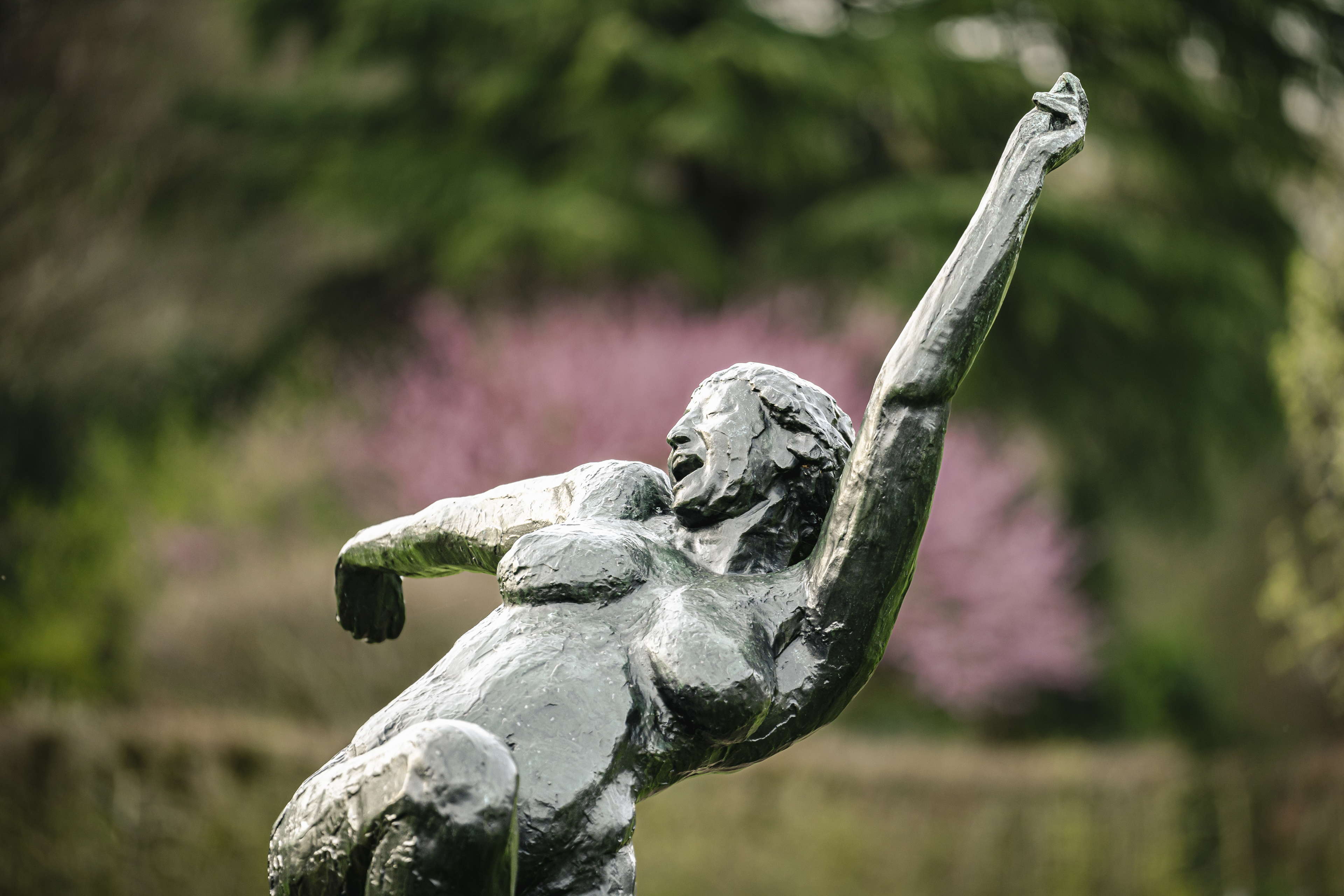 Vernieuwingen in het Middelheimmuseum zorgen voor totaal nieuwe bezoekerservaring 
