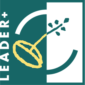LEADER logo