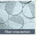 The cross section shows the combination of two distinct nylon polymers.