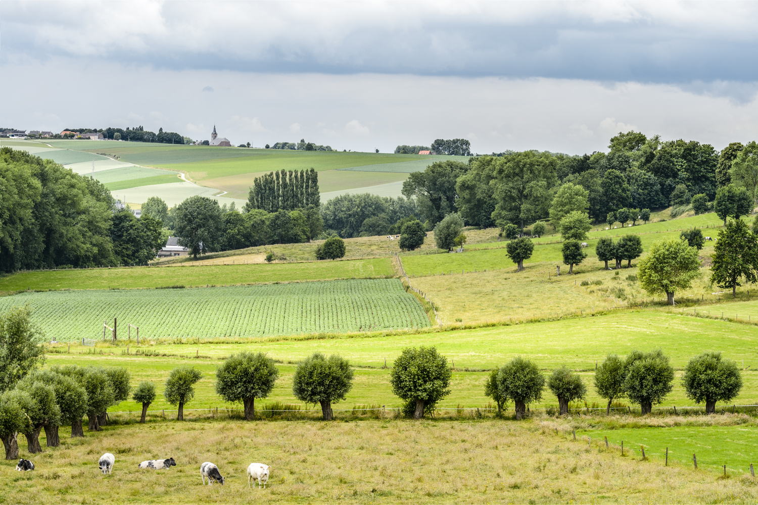 Landschapspark Vlaamse Ardennen (© Bart Heirweg)