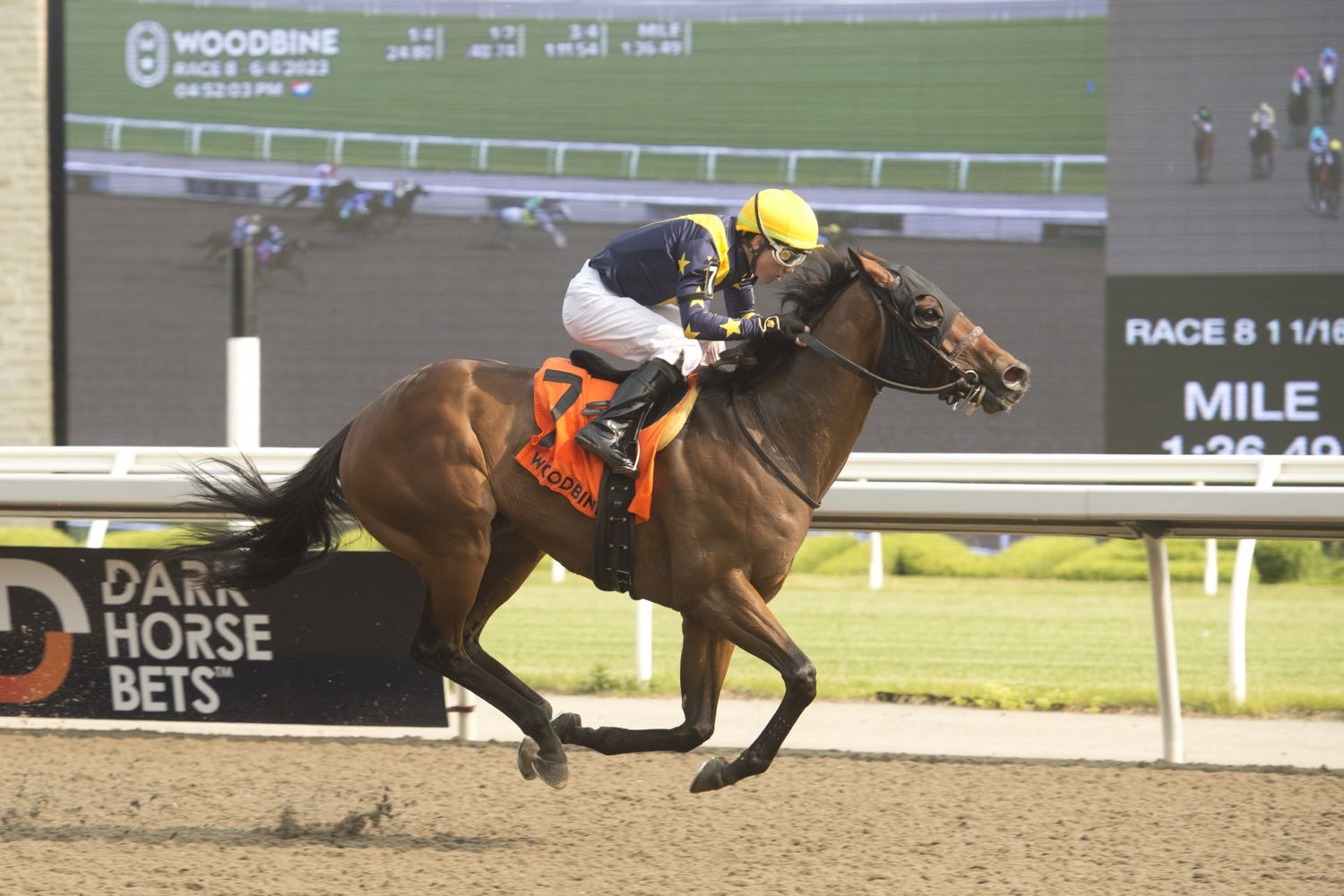 Treason and jockey Kazushi Kimura winning the Eclipse Stakes on June 4, 2023 at Woodbine (Michael Burns Photo)