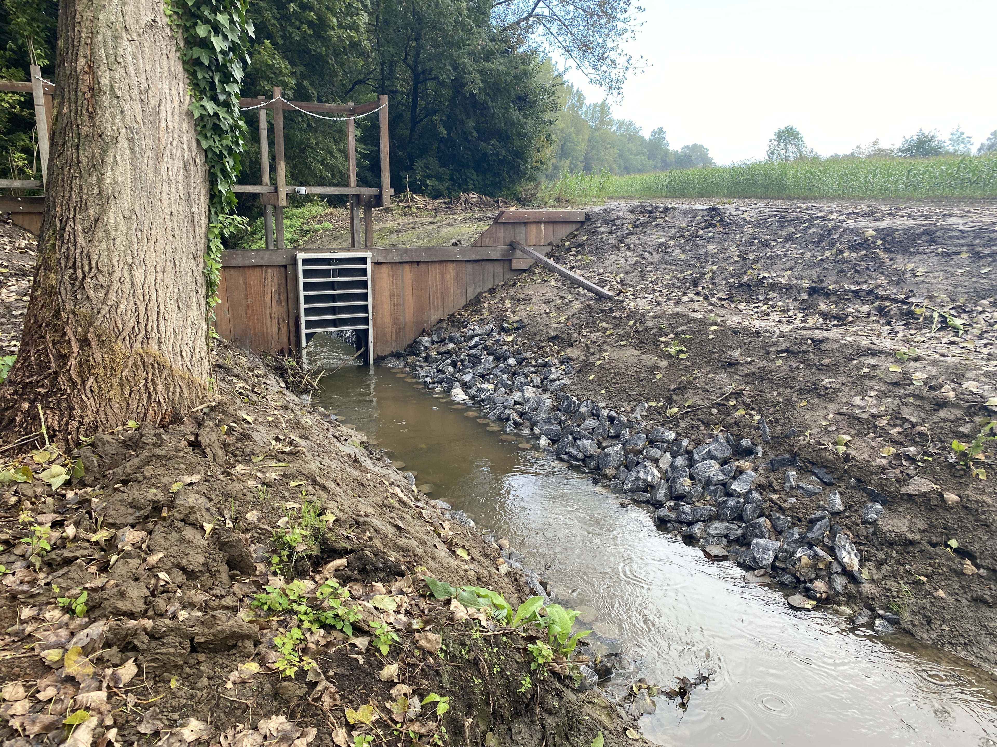 Provincie onthult overstromingsgebied op Hoezebeek in Aalst