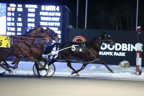 Winter Series Nominations at Woodbine Mohawk Park