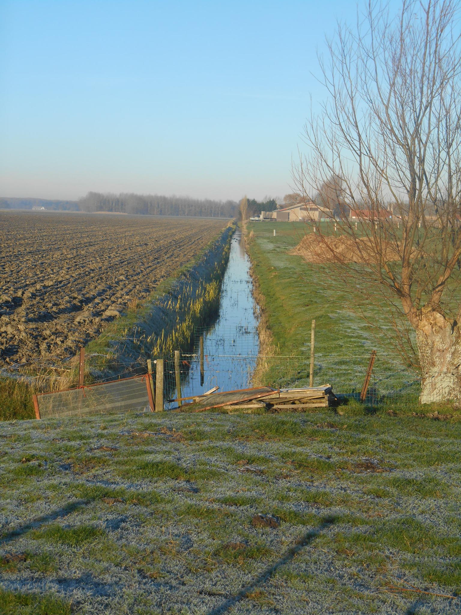 Paulusvaart in het open polderlandschap