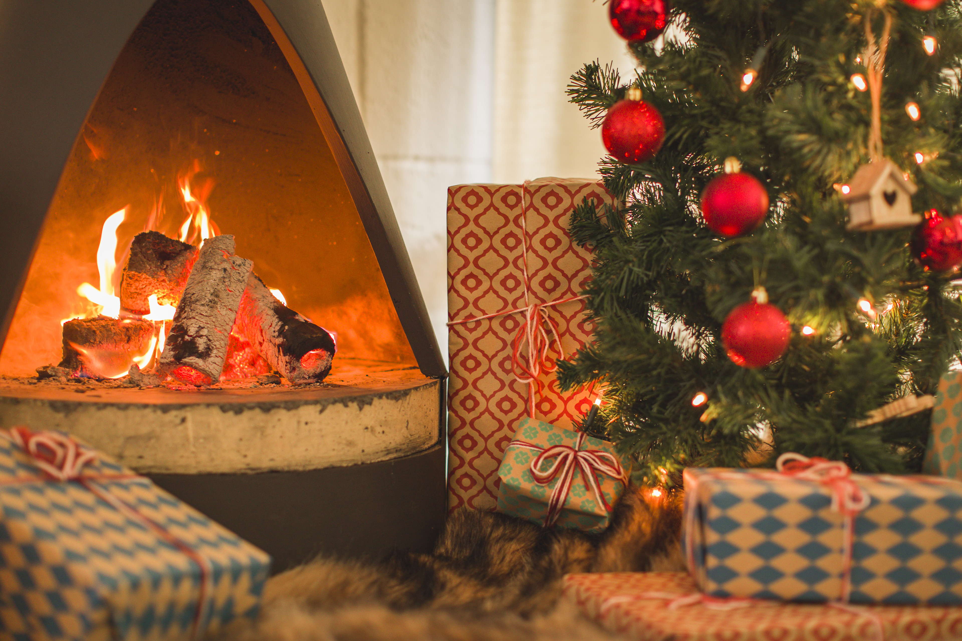 Landal ziet sterke groei in familievakanties tijdens de feestdagen 