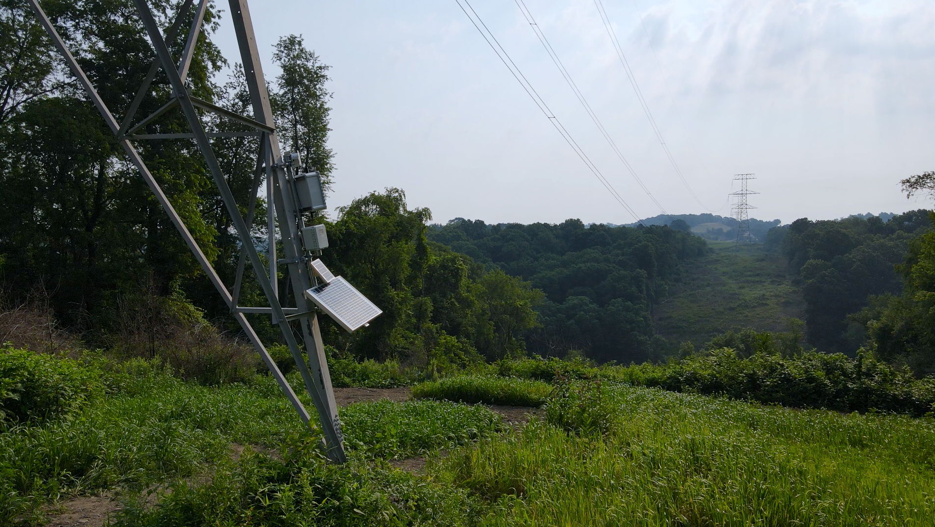 LineVision  Transmission Line Monitoring Solutions