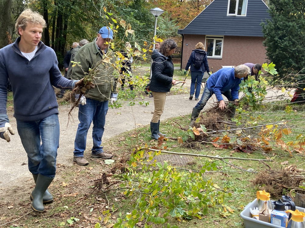 Meerbomen Landal Miggelenberg