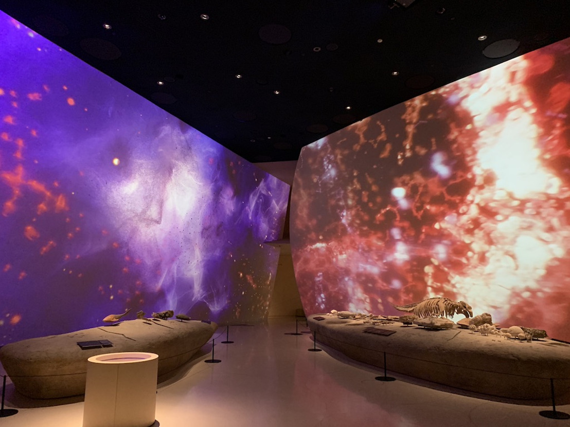 History in Motion: WSDG Acoustic Modeling Perfects Immersive Exhibits at the National Museum of Qatar