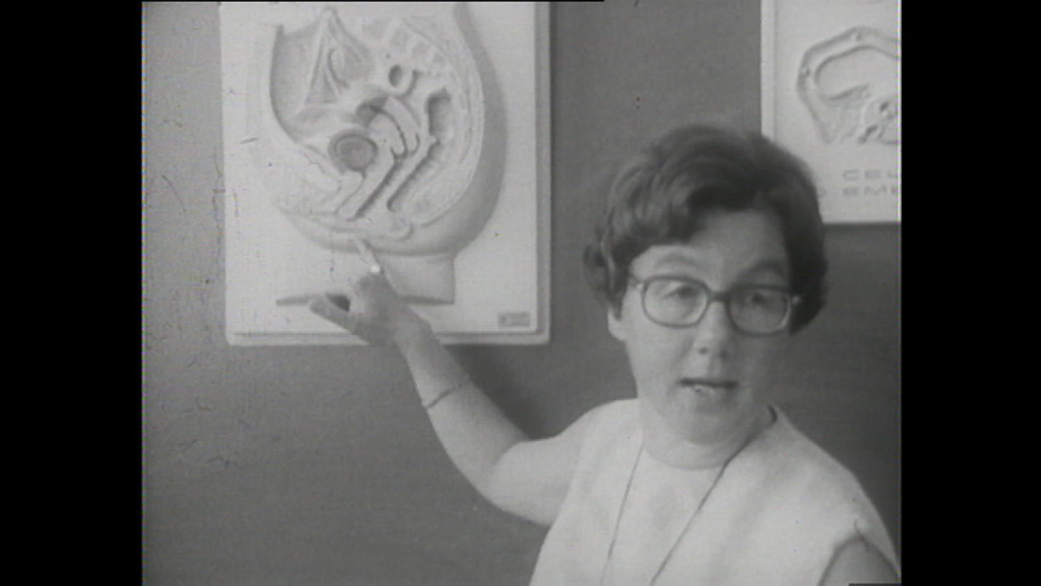 Seksuele voorlichting 1970