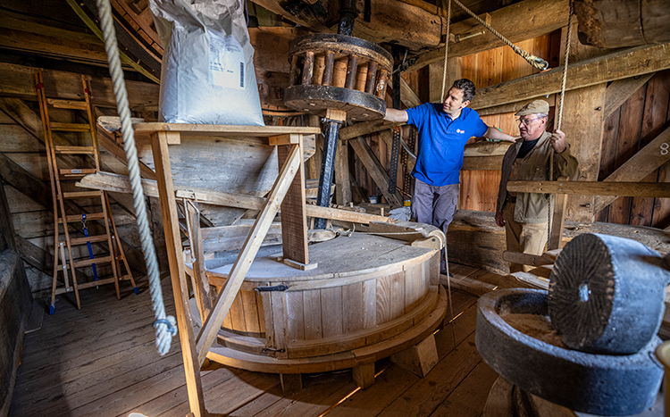 Provinciale molens openen deuren op Molendag