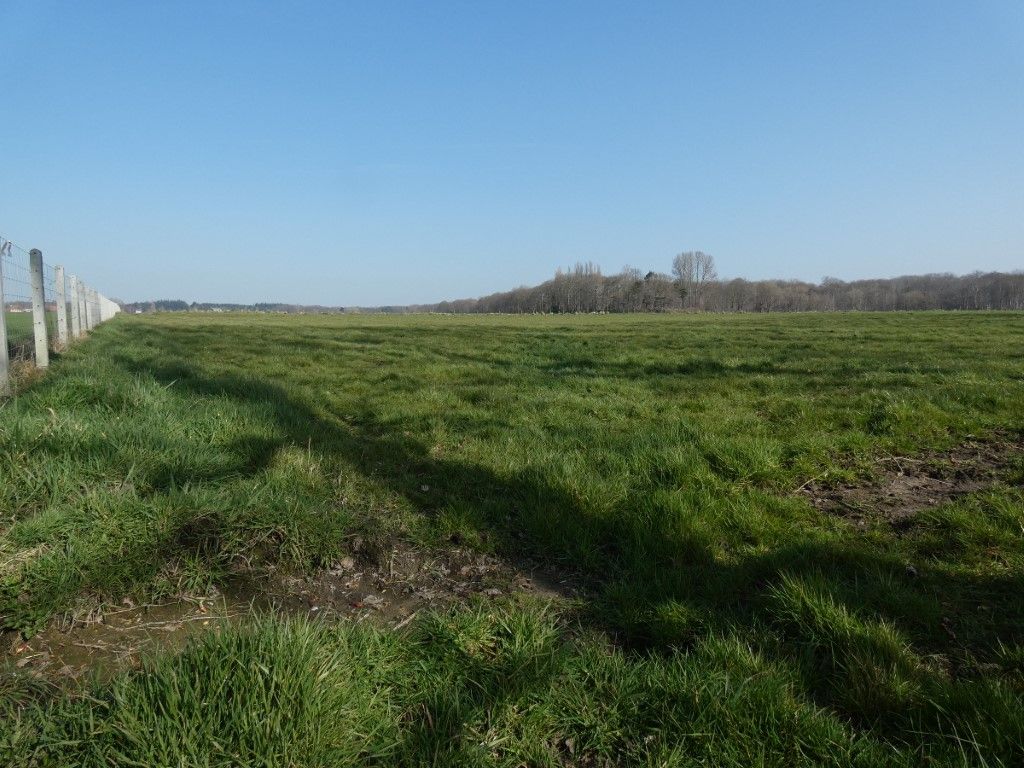 Binnenkort worden opnieuw extra bomen aangeplant in Vloethemveld