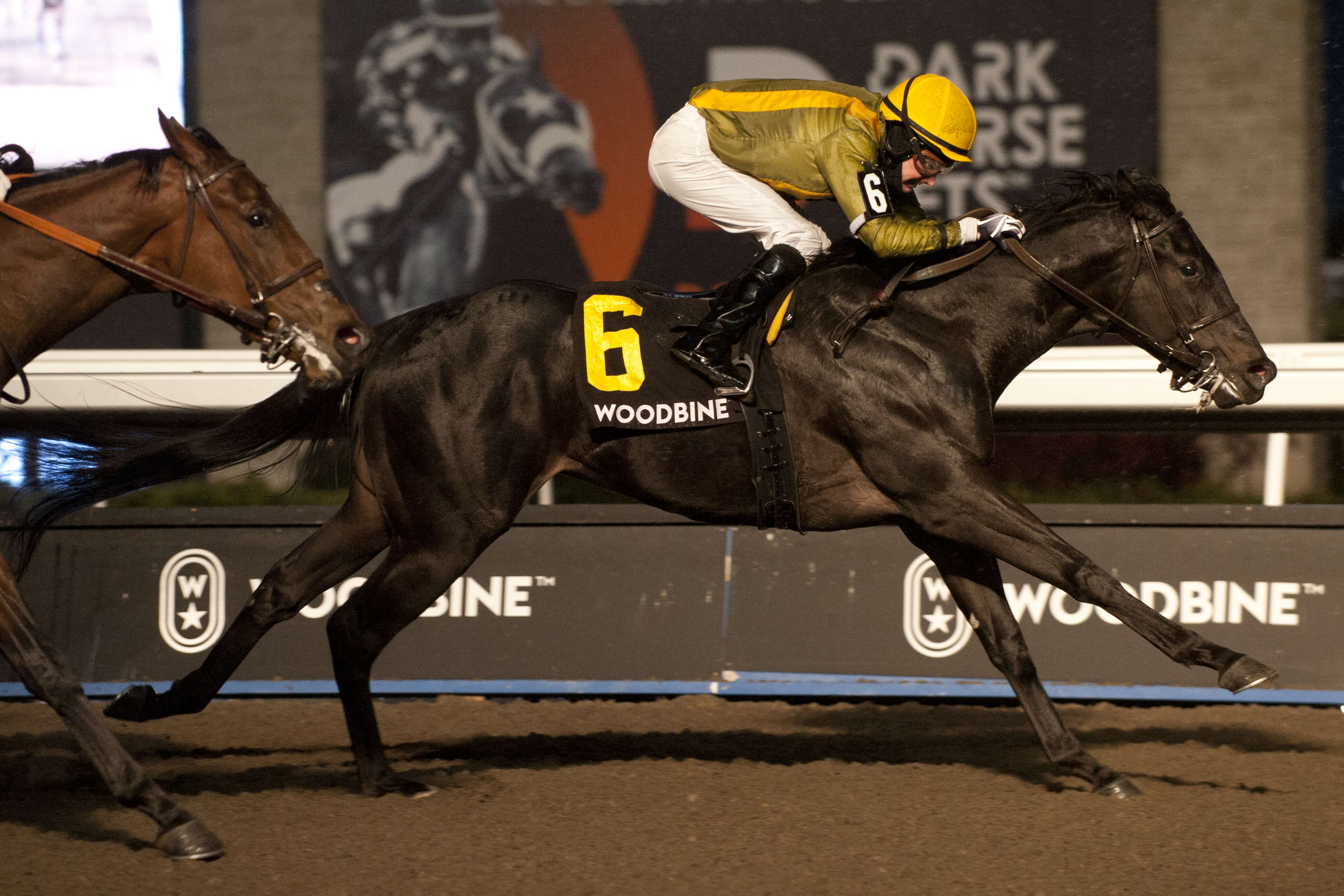 Silent Runner made noise with jockey David Moran earning the lions share of the Frost King Stakes at Woodbine. (Michael Burns Photo) Silent Runner made noise with jockey David Moran earning the lions share of the Frost King Stakes at Woodbine. (Michael Burns Photo) 