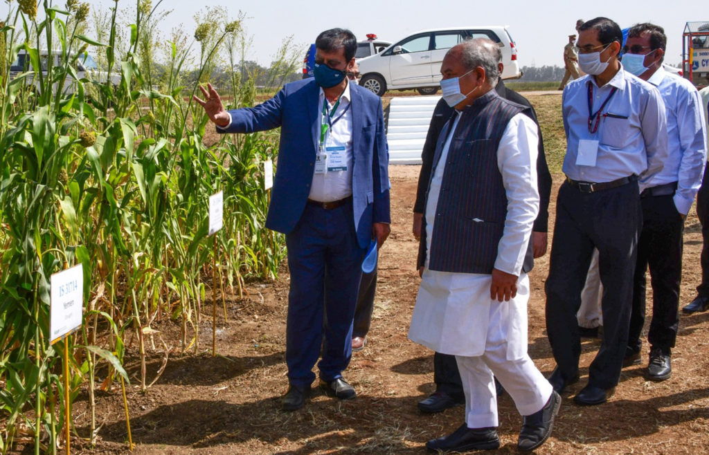 Deputy Director General Research Dr Arvind Kumar demonstrting sorghum germplasam to Hon'ble Union Minister of Agriculture & Farmers welfare Shri Narendra Singh Tomar. Photo: PTI