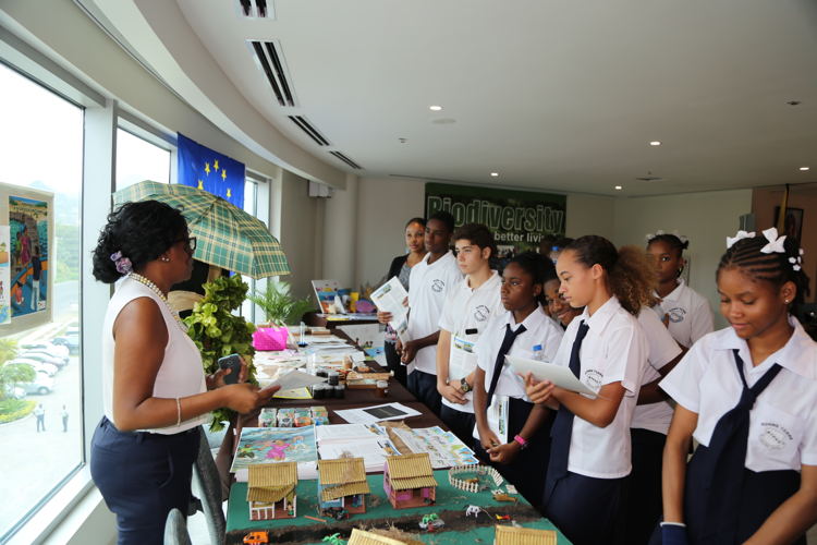 Students from Bonne Terre attend the exhibition to raise public awareness of the impacts of climate change on Small Island Developing States