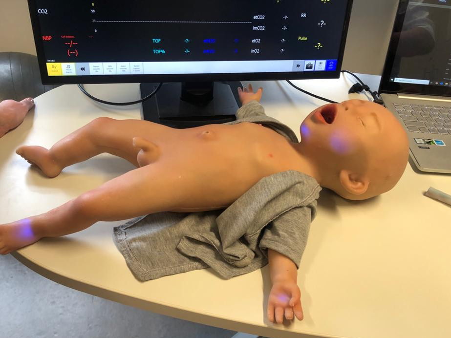 Nieuwe babyrobot krijgt naam overleden topdocent