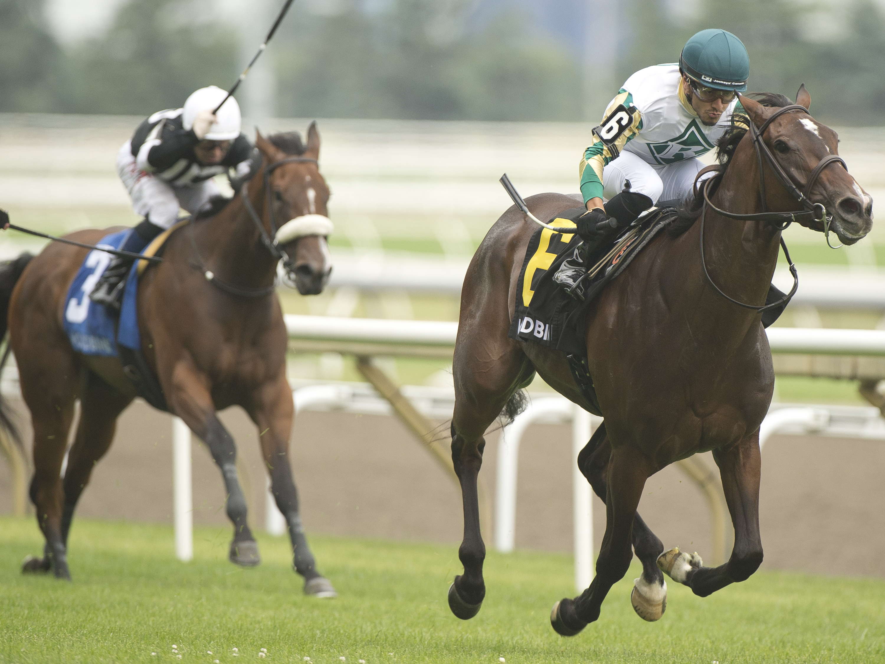 ‘Love’ is in the Woodbine air: Love Cervere wows in Alywow