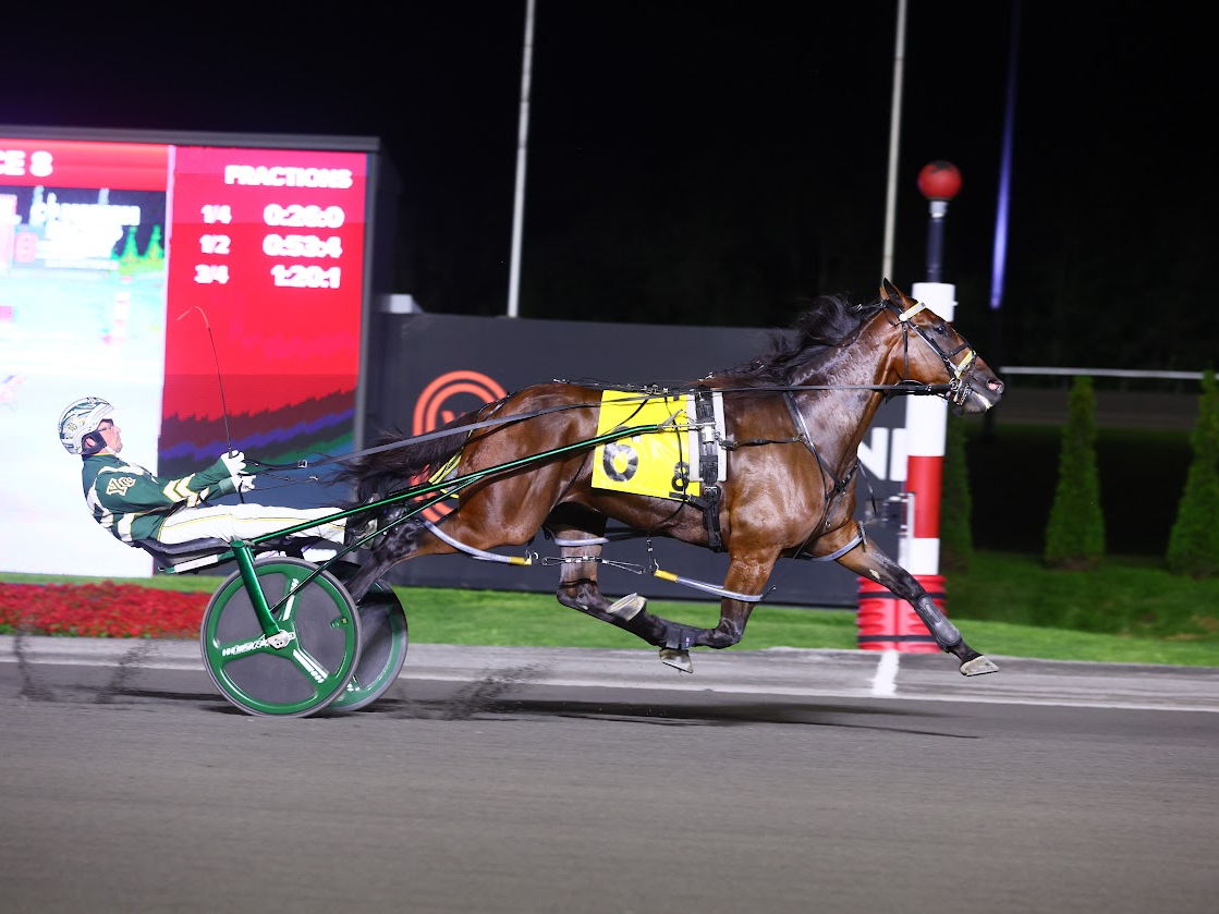 Bythemissal Equals Track, Canadian Record in Canadian Pacing Derby Elimination