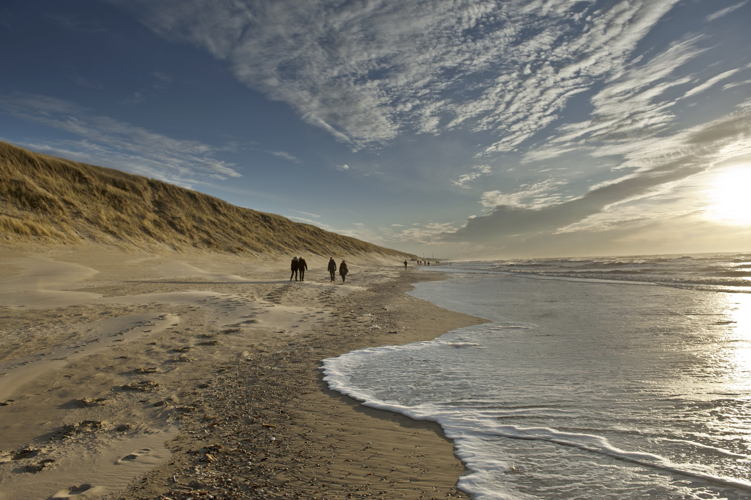 Noordhollandse stranden