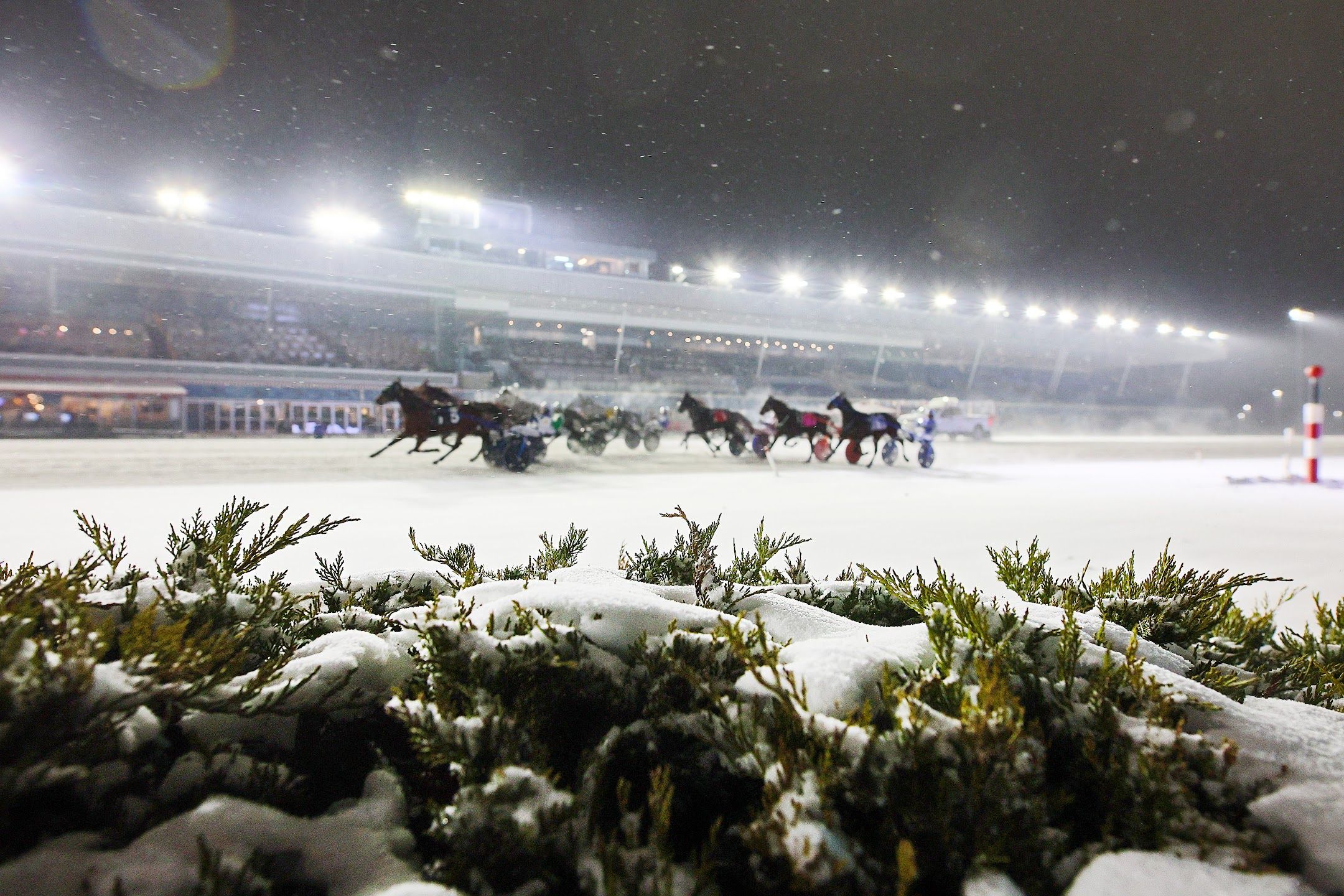 Winter racing at Woodbine Mohawk Park. (New Image Media)