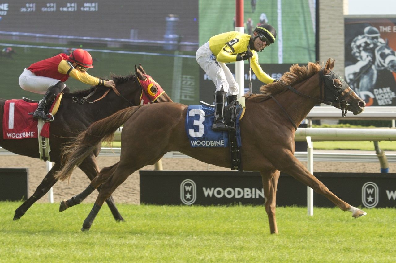 Sister Seagull and jockey Antonio Gallardo winning the Wonder Where Stakes on Sunday at Woodbine. (Michael Burns Photo)