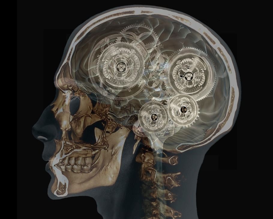 Mechanical Brain (c) Zephyr / SPL / akg-images