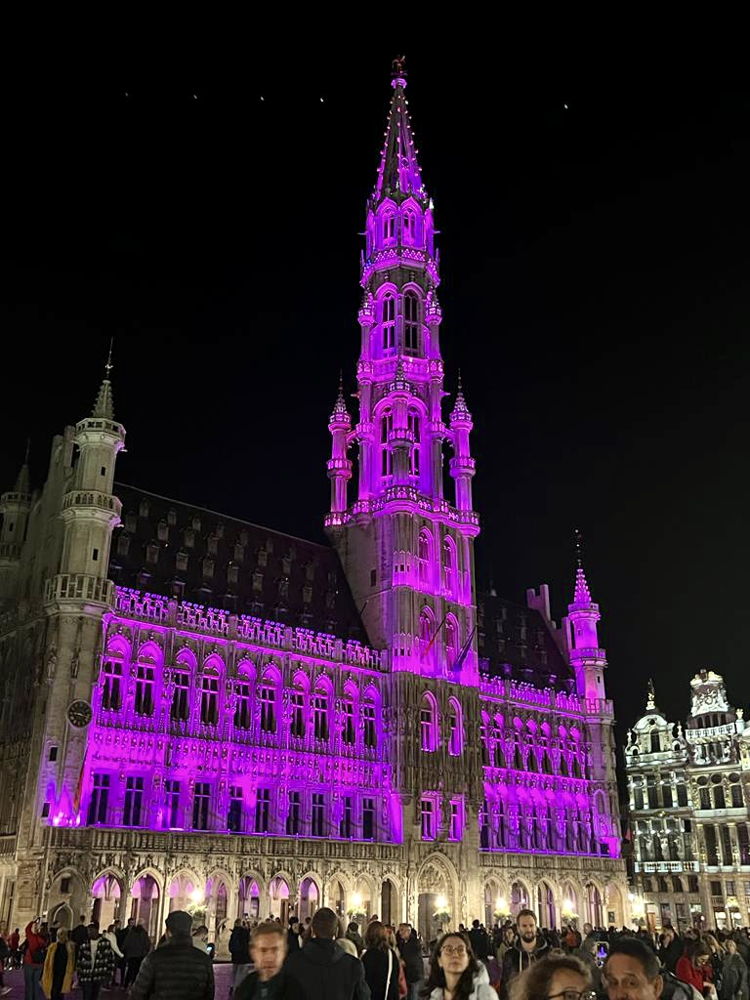 Hôtel de Ville de Bruxelles sur la Grand-Place illuminé pour le lancement du mois international de sensibilisation au cancer du sein. 
