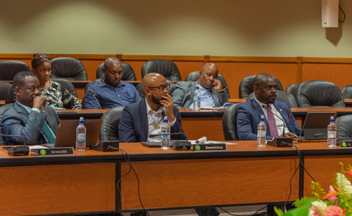 Agricultural Transformation Mapped Out for OECS at Special Ministers Meeting