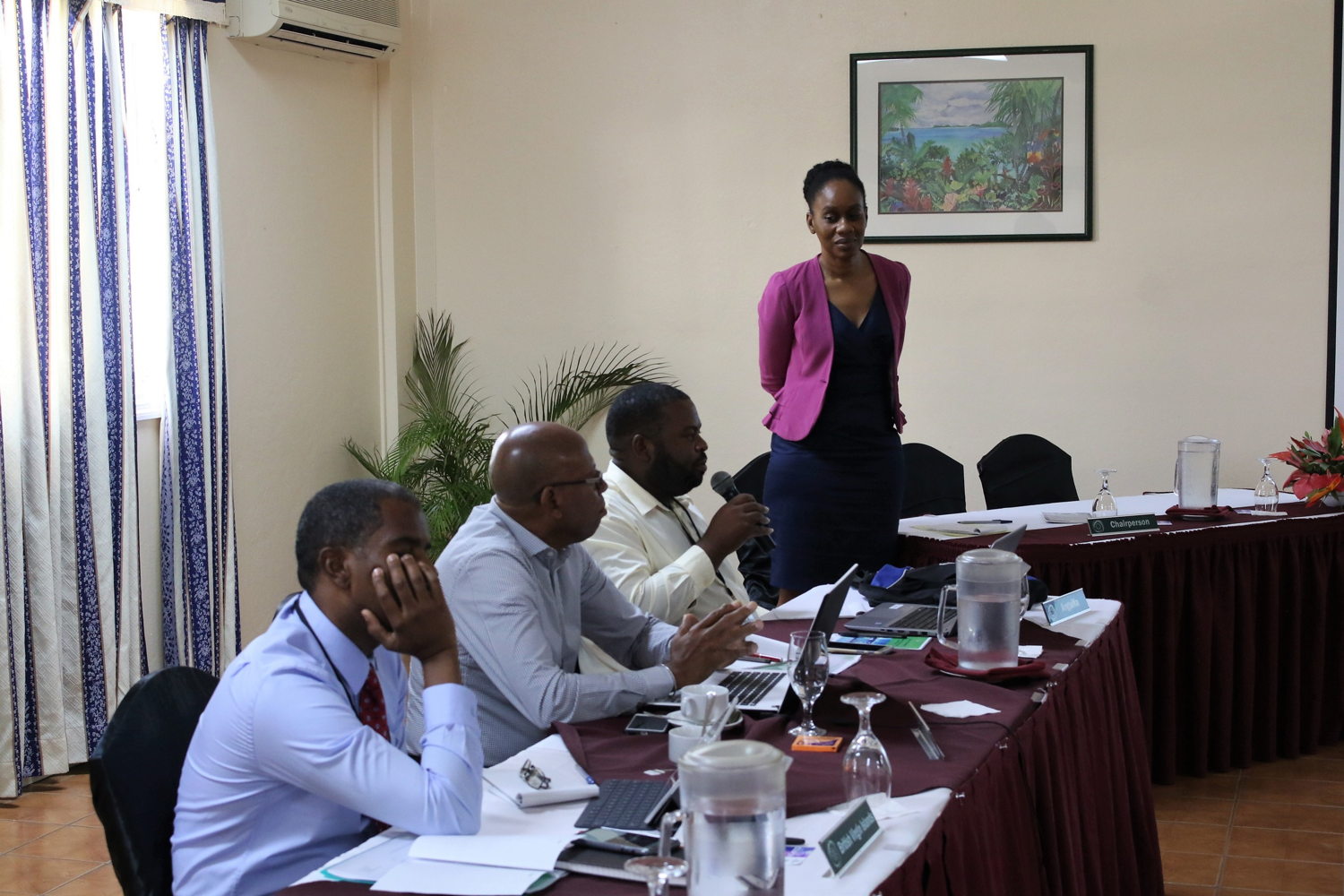 Meeting in Progress