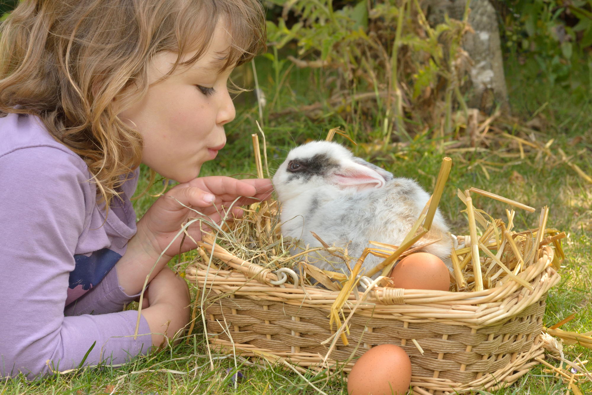 Ein sch&ouml;nes Nest