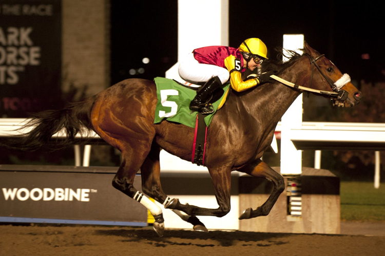 Sophia Vives and Bodacious Miss winning on the Woodbine Tapeta on November 3, 2022 (Michael Burns Photo)