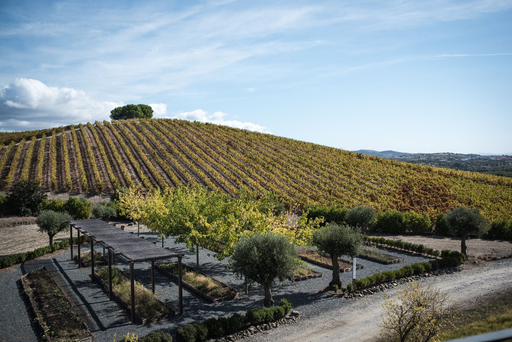 Quinta do Quetzal - Alentejo (c) Joao Silva