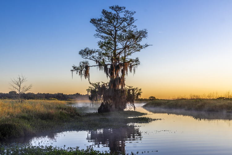 Amanecer en WildFlorida / ©Rikky.Azarcoya