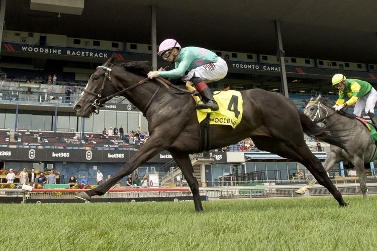 Olivia Rose and jockey Rafael Hernandez winning the Thunder Bay Stakes on August 4, 2024 at Woodbine (Michael Burns Photo)