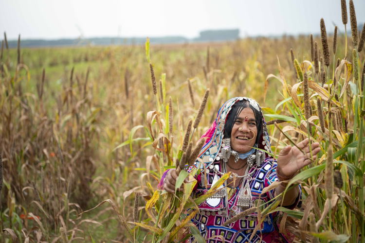 Women farmer in pearl millet field/