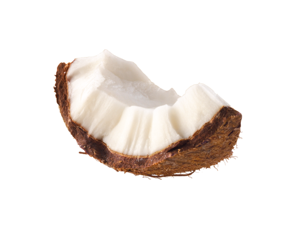 Coconut