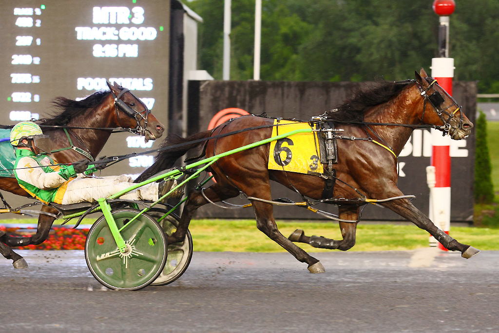 Captains Quarters winning his Pepsi North America Cup elimination. (New Image Media)