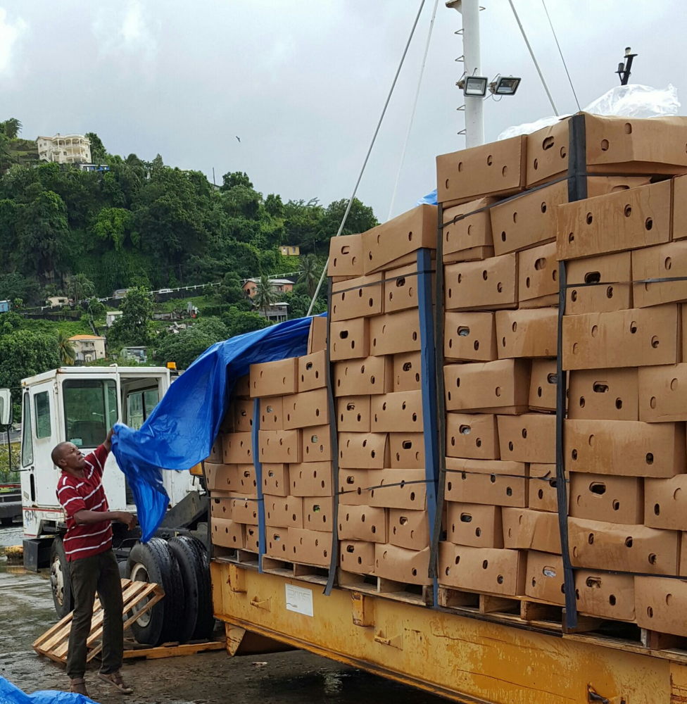 Produce to be exported