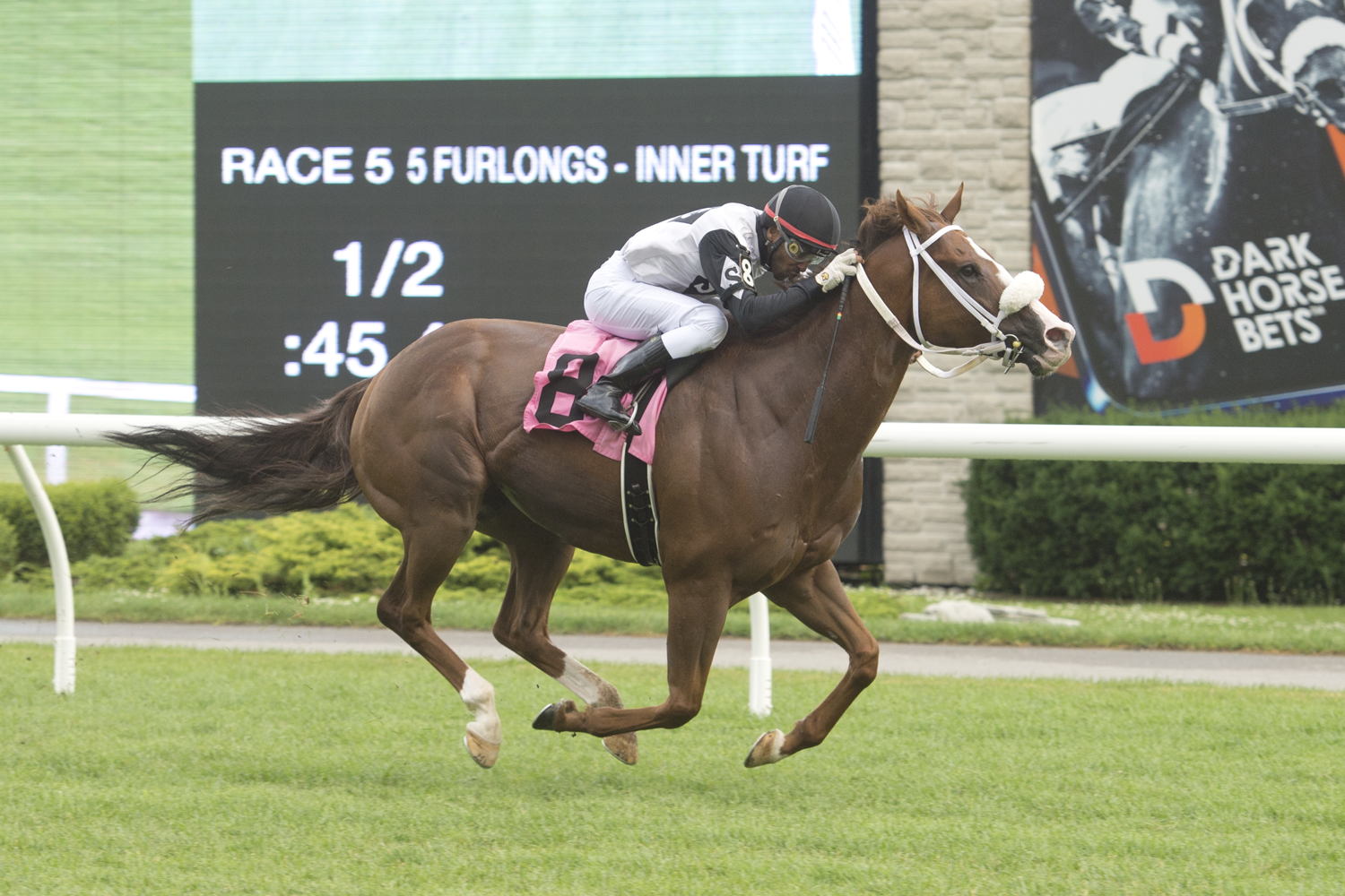 Aim for the Sky and jockey Rico Walcott winning Race 5 on July 6, 2023 at Woodbine (Michael Burns Photo)