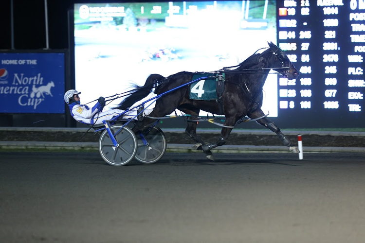 Driver, James MacDonald, crosses the finish line with Real Willey in the Woodbine Mohawk Park finale to earn his sixth victory on the Boxing Day matinee card. (New Image Media) 