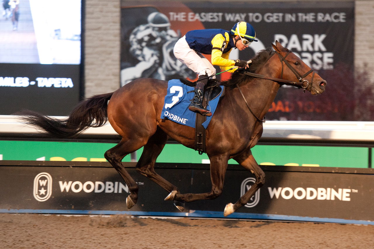Wolfie's Dynaghost and jockey Kazushi Kimura winning the Autumn Stakes on November 5, 2023 at Woodbine (Michael Burns Photo)