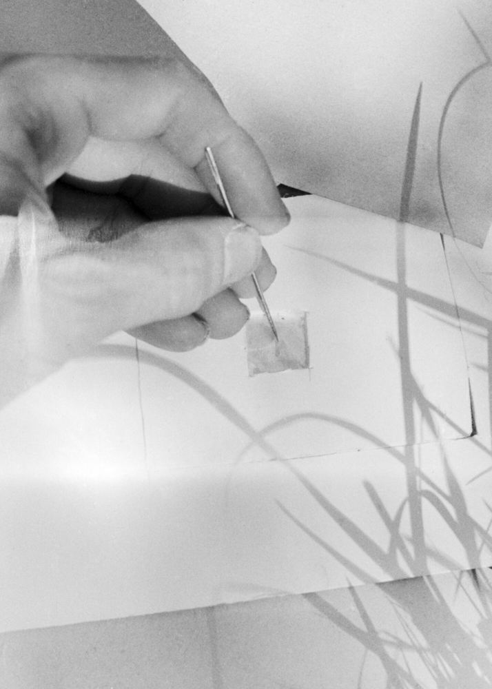 Becoming Terrestrial @ Tim Theo Deceuninck 