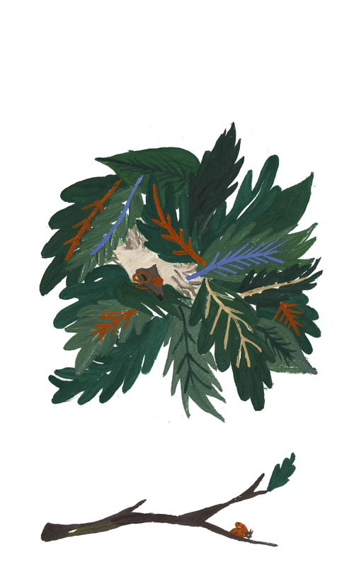 Illustrations by Juliette Farges