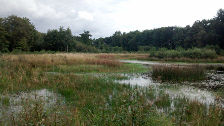 natuurgebied De Maten in Genk