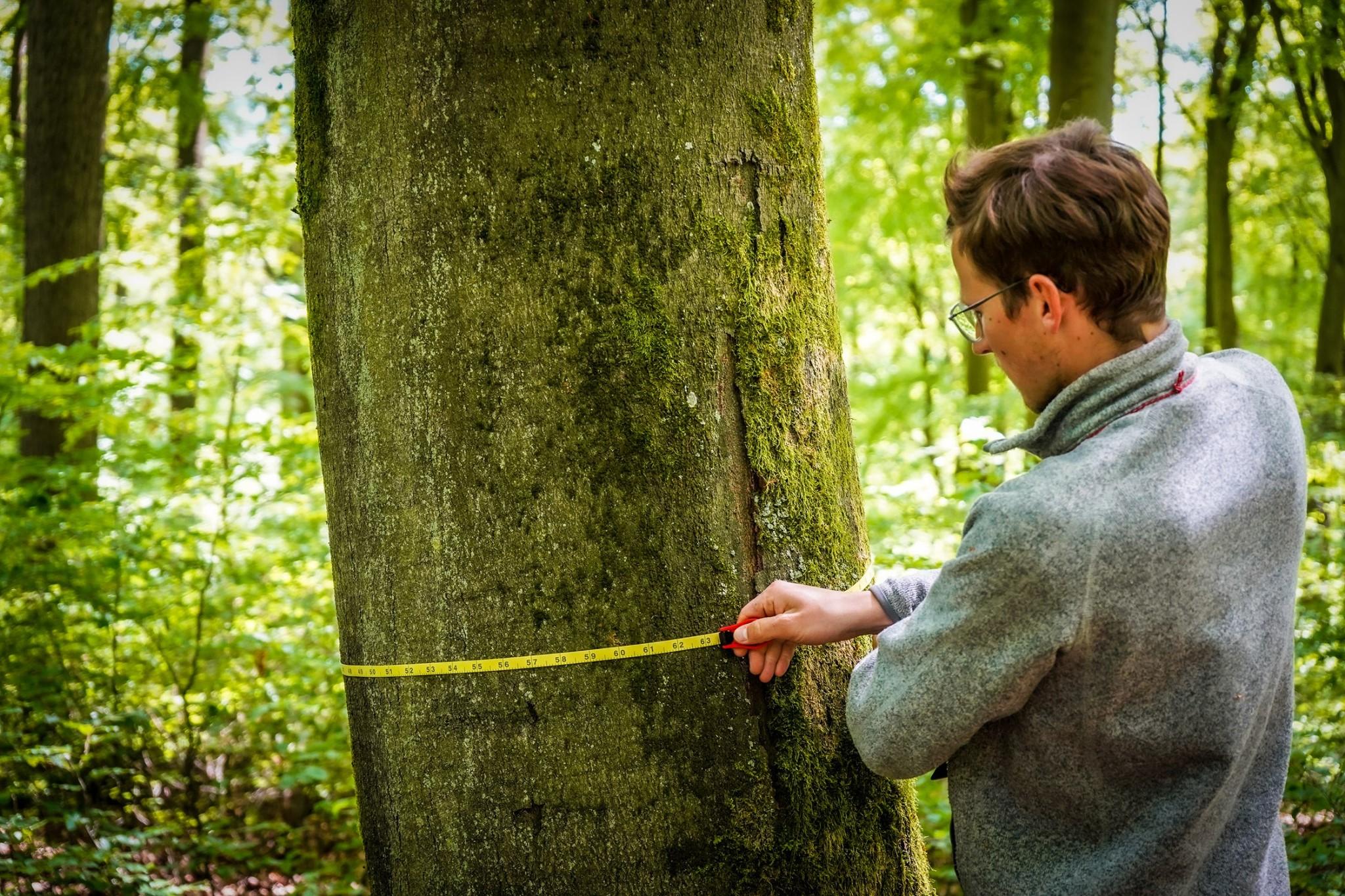 Monitoring the preservation area in Wohlleben, Germany.