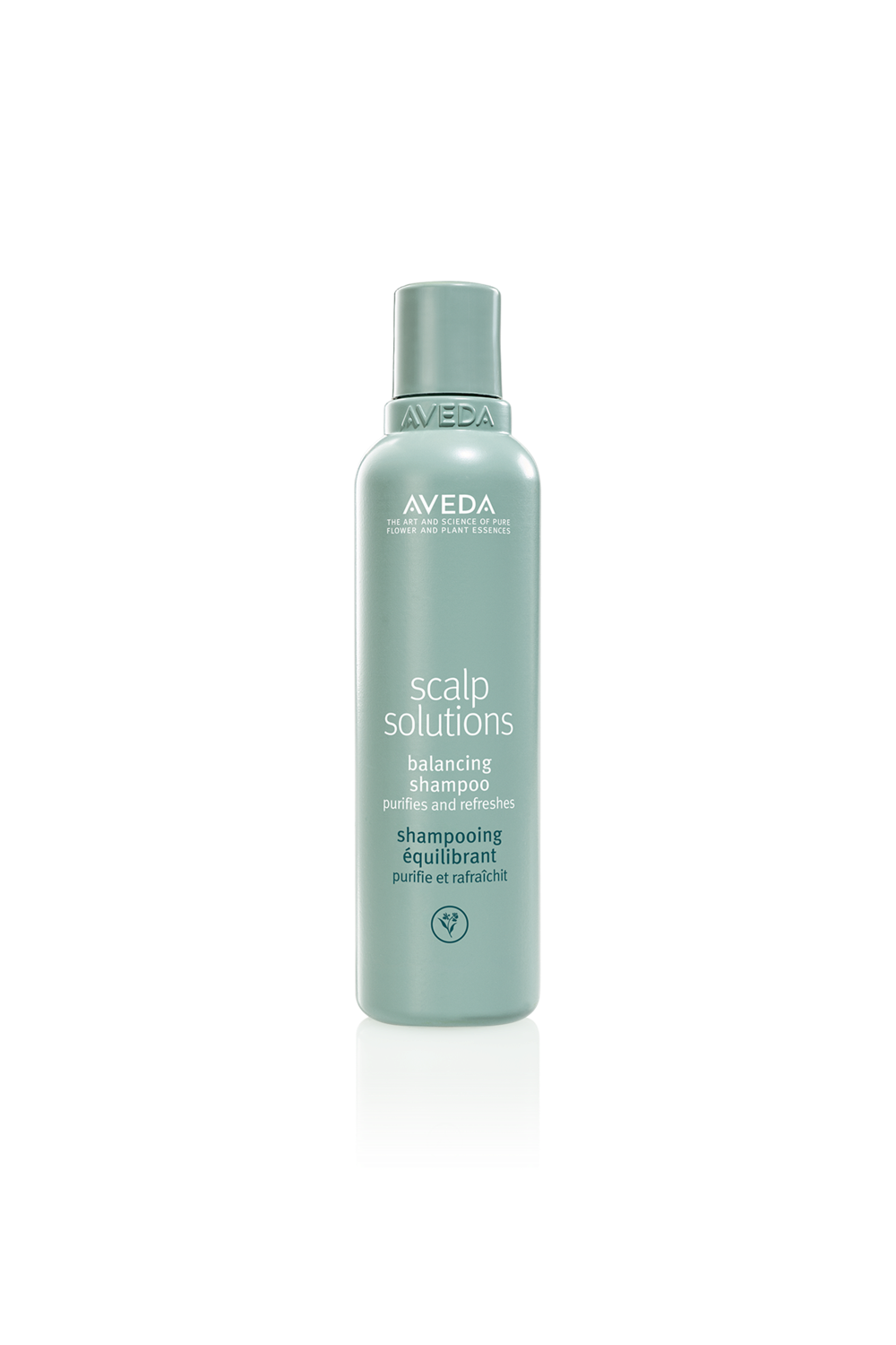 Scalp Solutions Shampoo 40ml recommended retail price €37,-