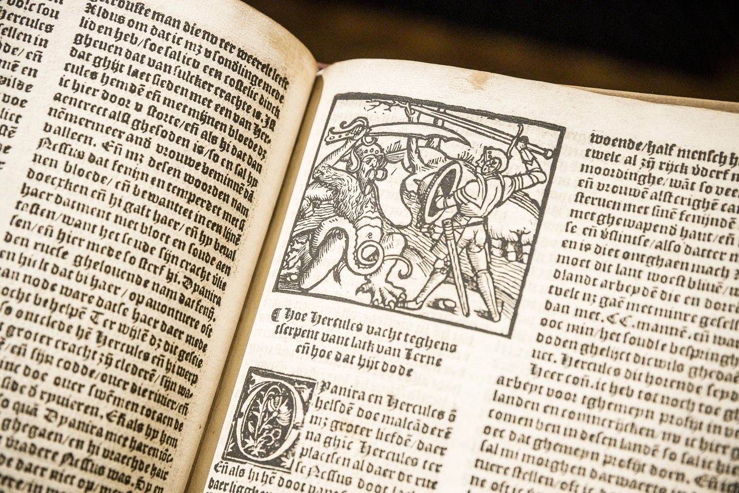 Expo 'Helden in harnas' (29/10/21-23/1/22). Foto: Victoriano Moreno voor Erfgoedbibliotheek Hendrik Conscience